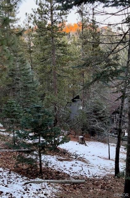 625 San Benito Ln, Lake Arrowhead, CA 92352 - photo 37