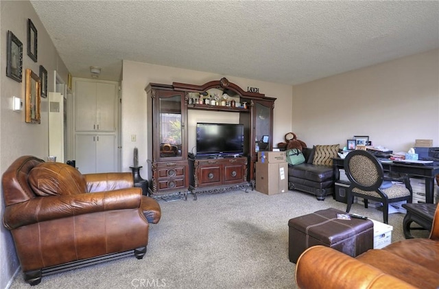 560 S 12th St, Grover Beach, CA 93433 - living area featuring carpet flooring and a textured ceiling