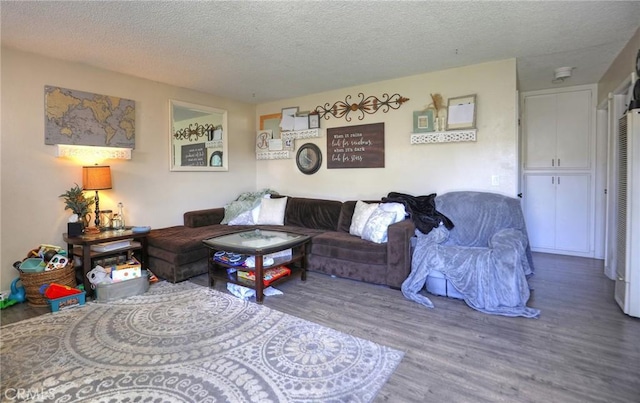 560 S 12th St, Grover Beach, CA 93433 - living area featuring wood finished floors and a textured ceiling