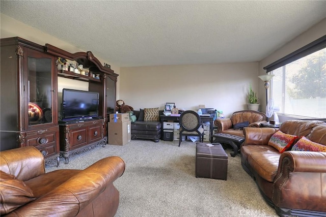 560 S 12th St, Grover Beach, CA 93433 - living room featuring carpet and a textured ceiling