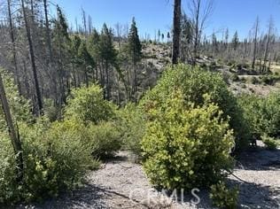 0 Oak Dr, Berry Creek, CA 95916