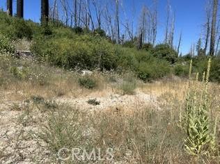 0 Oak Dr, Berry Creek, CA 95916