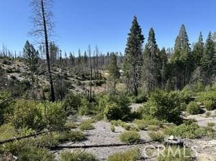 0 Oak Dr, Berry Creek, CA 95916