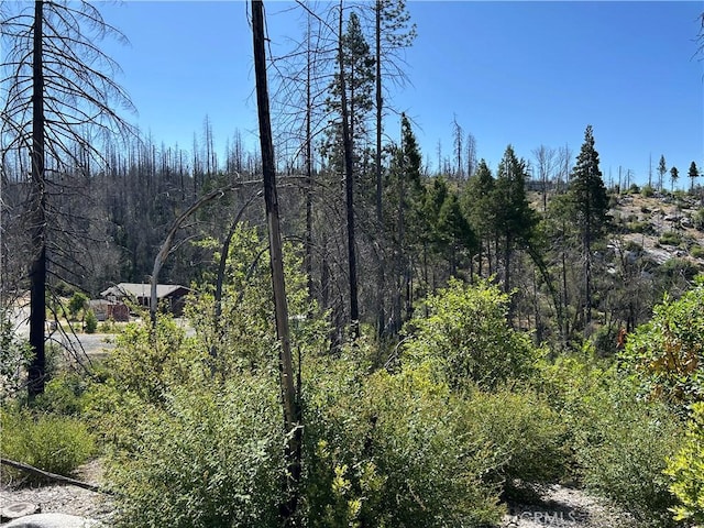 0 Oak Dr, Berry Creek, CA 95916