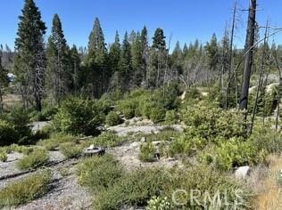 0 Oak Dr, Berry Creek, CA 95916