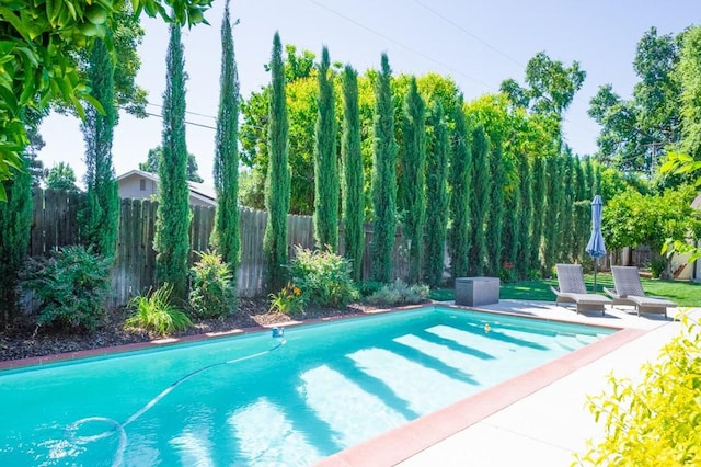 2158 N Ave, Chico, CA 95926 - view of swimming pool featuring a fenced backyard and a patio area