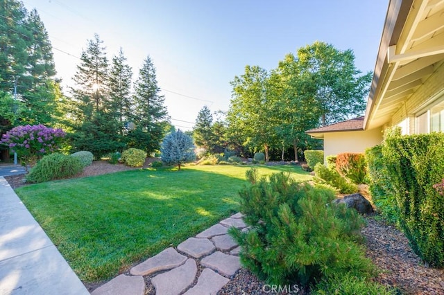 2158 N Ave, Chico, CA 95926 - view of green lawn