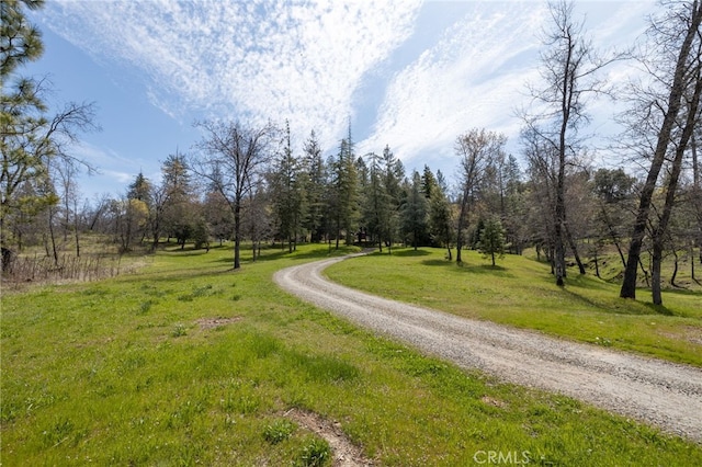4870 Triangle Rd, Mariposa, CA 95338 - photo 32