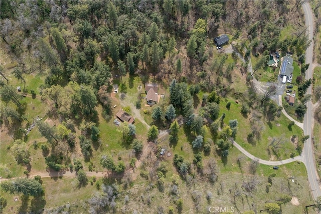 4870 Triangle Rd, Mariposa, CA 95338 - photo 40
