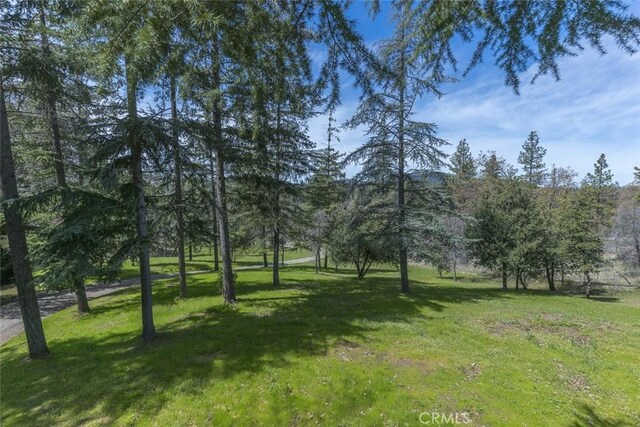 4870 Triangle Rd, Mariposa, CA 95338 - photo 35