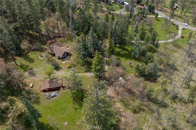 4870 Triangle Rd, Mariposa, CA 95338 - photo 39