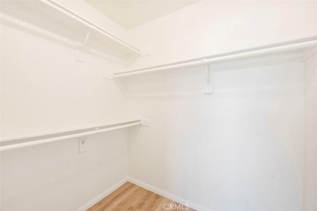 42140 Lyndie Ln Unit 12, Temecula, CA 92591 - walk in closet with light wood finished floors