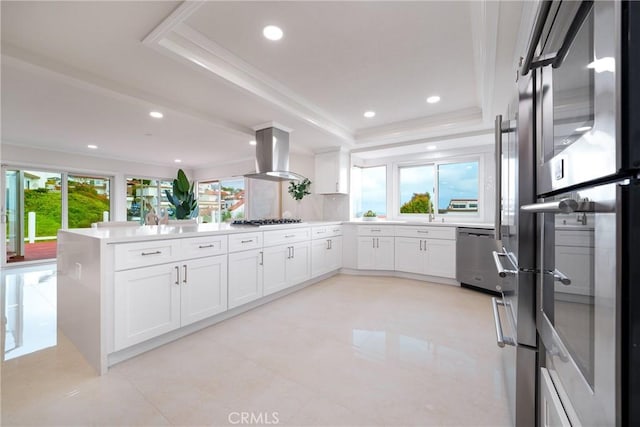 3823 Via Manzana, San Clemente, CA 92673 - kitchen with island range hood, appliances with stainless steel finishes, a raised ceiling, a peninsula, and white cabinets