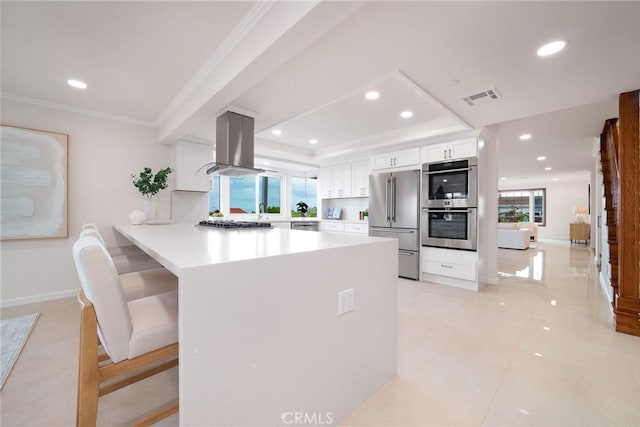 3823 Via Manzana, San Clemente, CA 92673 - kitchen with stainless steel appliances, island range hood, crown molding, a raised ceiling, and a peninsula