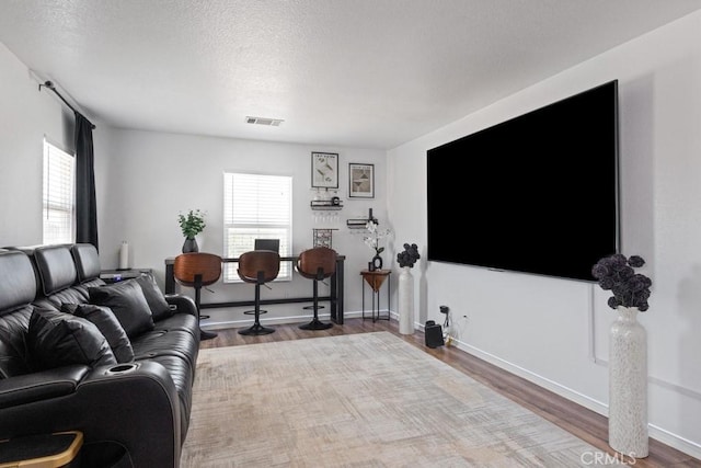 14075 Tourmaline St, Hesperia, CA 92344 - living area featuring wood finished floors, healthy amount of natural light, and a textured ceiling
