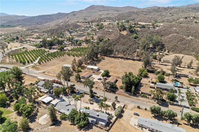 42646 Chambers Ave, Hemet, CA 92544 - photo 71