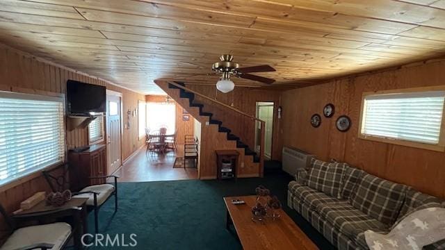 658 Dahlia Dr, Green Valley Lake, CA 92341 - photo 21