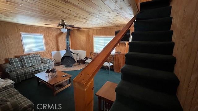 658 Dahlia Dr, Green Valley Lake, CA 92341 - photo 16