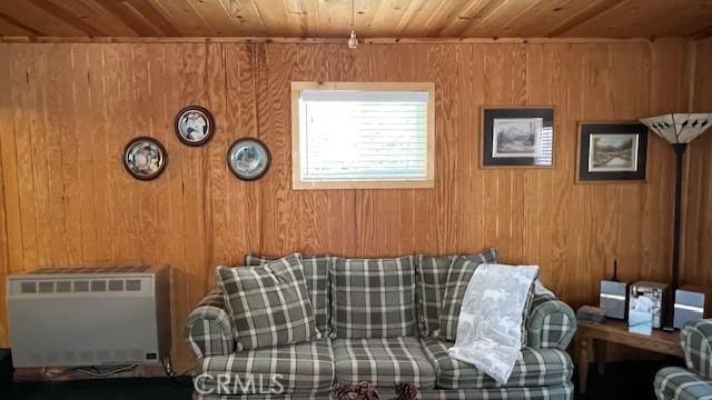 658 Dahlia Dr, Green Valley Lake, CA 92341 - photo 34