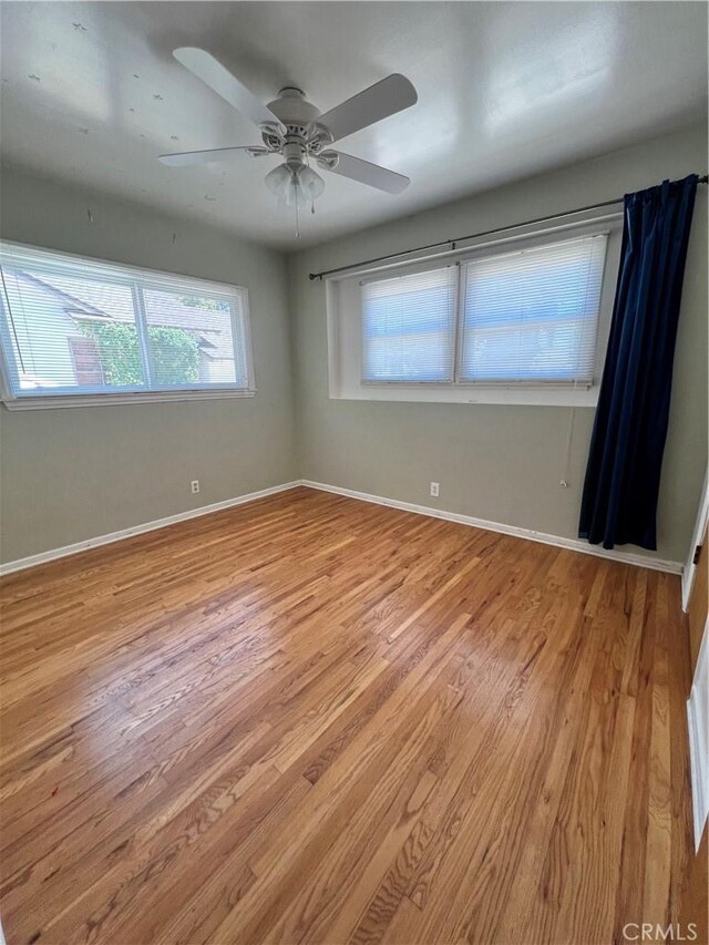 8109 Mason Ave, Winnetka, CA 91306 - photo 14