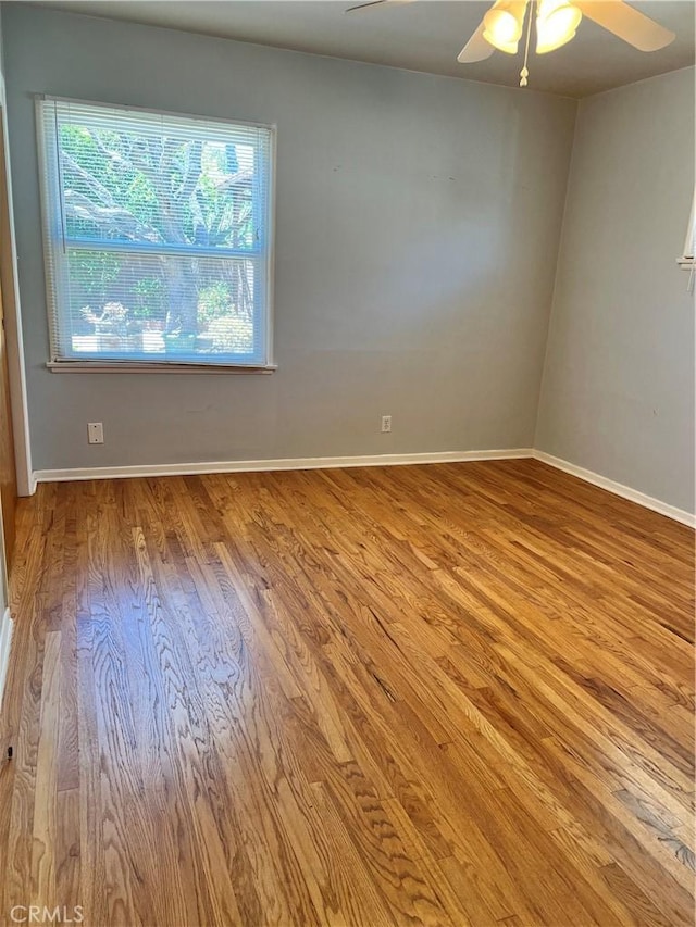 8109 Mason Ave, Winnetka, CA 91306 - photo 13