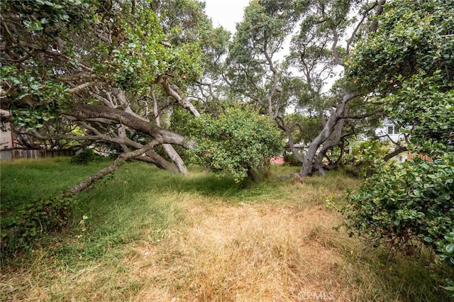 1627 6th St, Los Osos, CA 93402 - photo 15