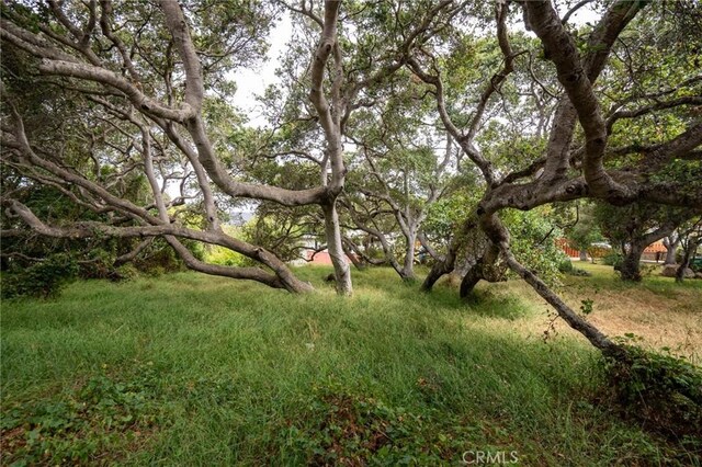1627 6th St, Los Osos, CA 93402 - photo 14