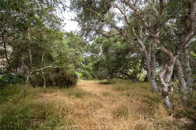 1627 6th St, Los Osos, CA 93402 - photo 4