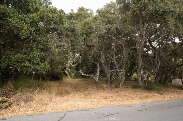 1627 6th St, Los Osos, CA 93402 - photo 3