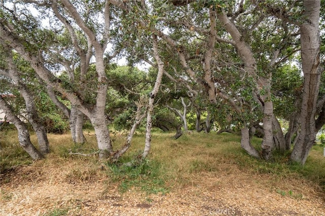 1627 6th St, Los Osos, CA 93402 - photo 5