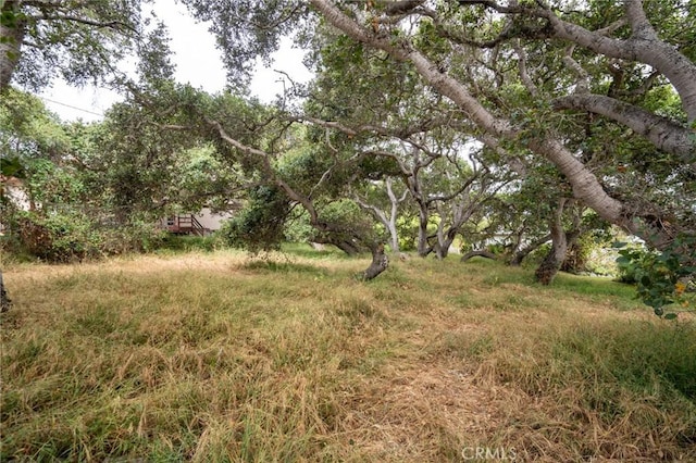 1627 6th St, Los Osos, CA 93402 - photo 6
