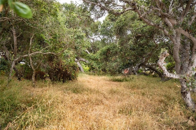 1627 6th St, Los Osos, CA 93402 - photo 17