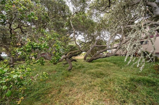 1627 6th St, Los Osos, CA 93402 - photo 12