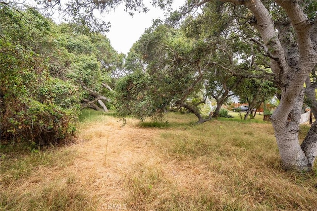 1627 6th St, Los Osos, CA 93402 - photo 16