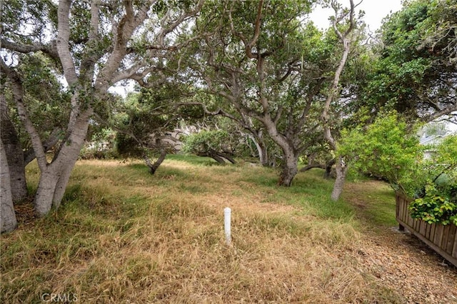 1627 6th St, Los Osos, CA 93402 - photo 8