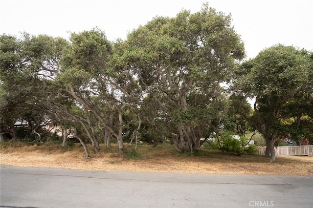 1627 6th St, Los Osos, CA 93402 - photo 2