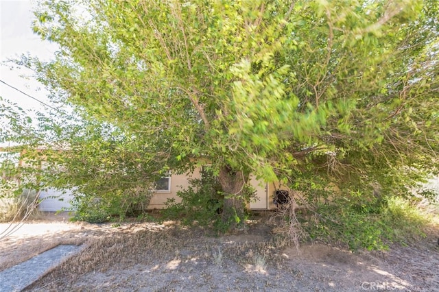 15917 Lee St, Mojave, CA 93501 - view of yard