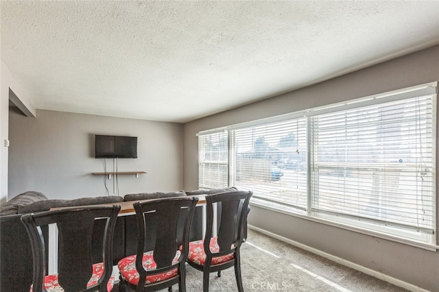 15917 Lee St, Mojave, CA 93501 - living room featuring carpet floors and a textured ceiling