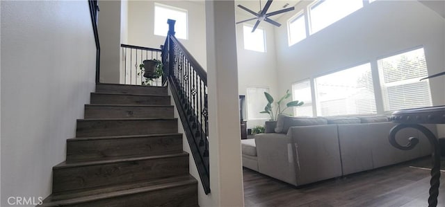 315 Fuente Dr, Guadalupe, CA 93434 - staircase with ceiling fan, wood finished floors, and a high ceiling