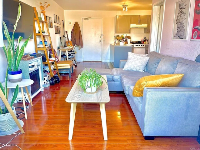 3029 Broadway Unit 22, San Diego, CA 92102 - living area featuring light wood finished floors