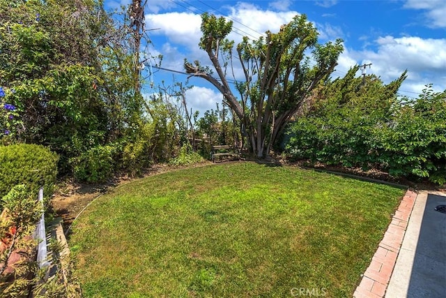 5591 Kenwood Ave, Buena Park, CA 90621 - view of grassy yard