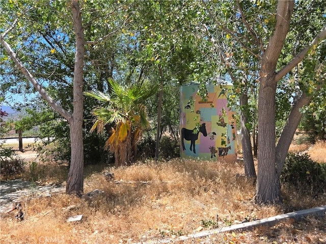 38800 Bahrman Rd, Anza, CA 92539