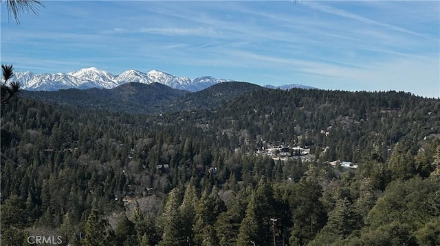 25152 Valle Dr, Crestline, CA 92325 - photo 3