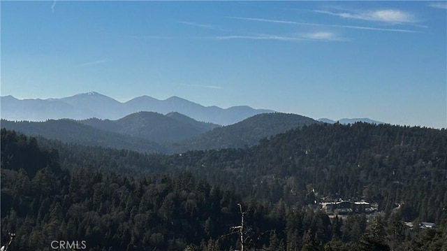 25152 Valle Dr, Crestline, CA 92325 - photo 21