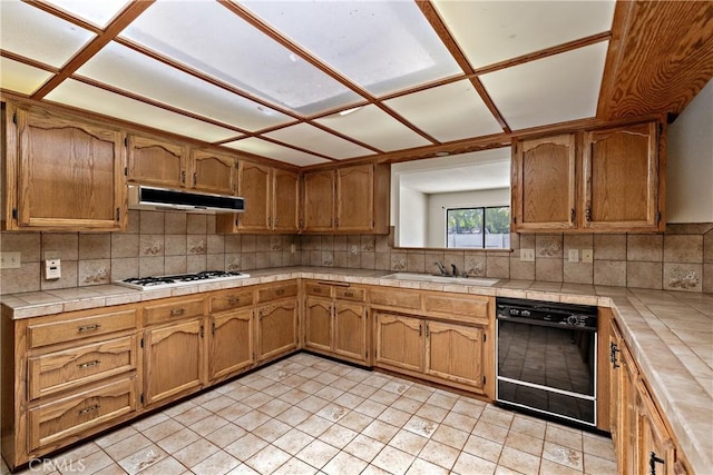 26555 Lore Heights Ct, Hemet, CA 92544 - photo 10
