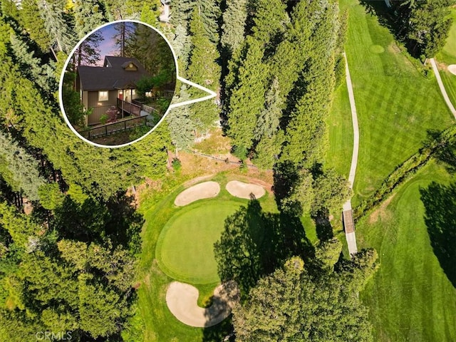 207 N Fairway Dr N, Lake Arrowhead, CA 92391 - view of subject property