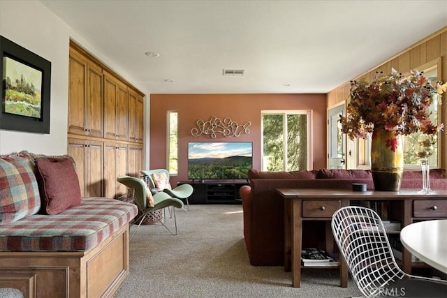 207 N Fairway Dr N, Lake Arrowhead, CA 92391 - view of carpeted living area