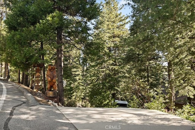207 N Fairway Dr N, Lake Arrowhead, CA 92391 - view of street