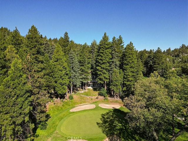207 N Fairway Dr N, Lake Arrowhead, CA 92391 - view of community featuring a view of trees