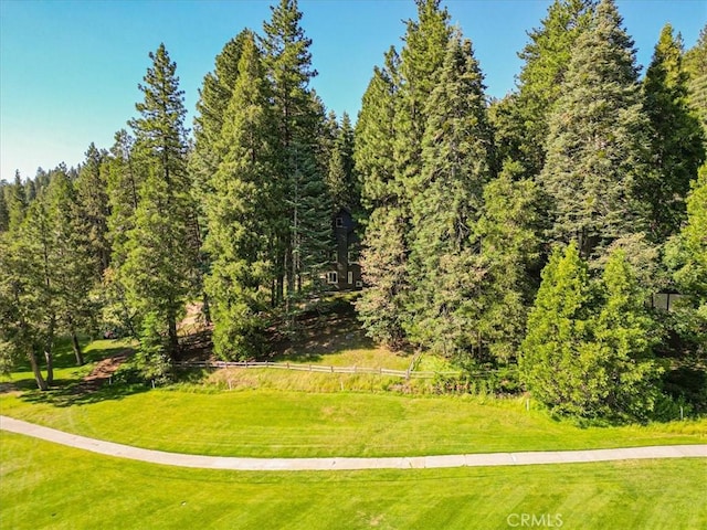 207 N Fairway Dr N, Lake Arrowhead, CA 92391 - view of community with a lawn